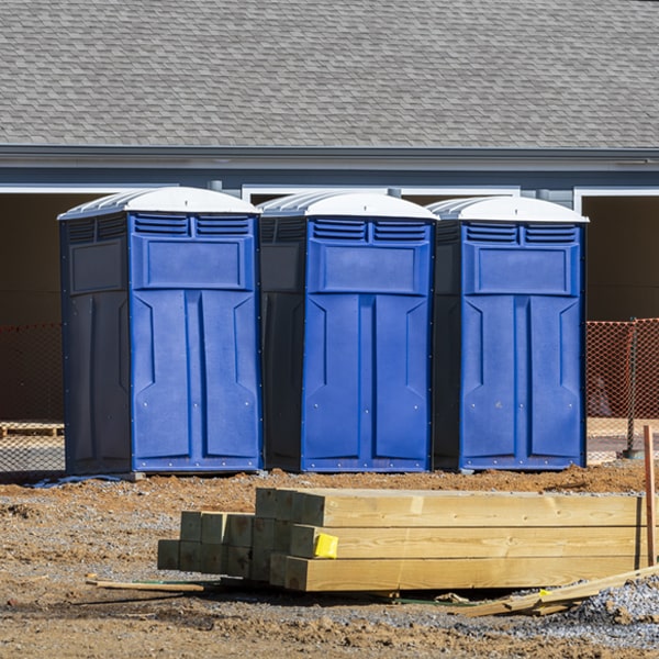 do you offer hand sanitizer dispensers inside the portable restrooms in Rayburn